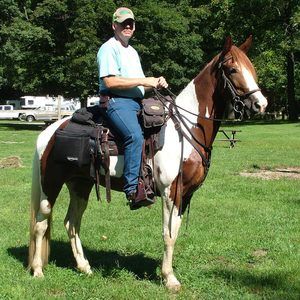 Meet your Posher, Bill